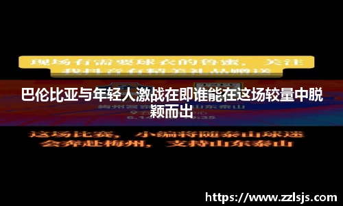 bsports必一体育